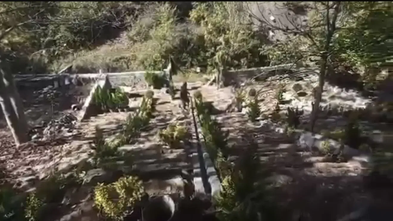 ۱۰۰۰ متر روستا ایول|فروش زمین و ملک کلنگی|کیاسر, |دیوار