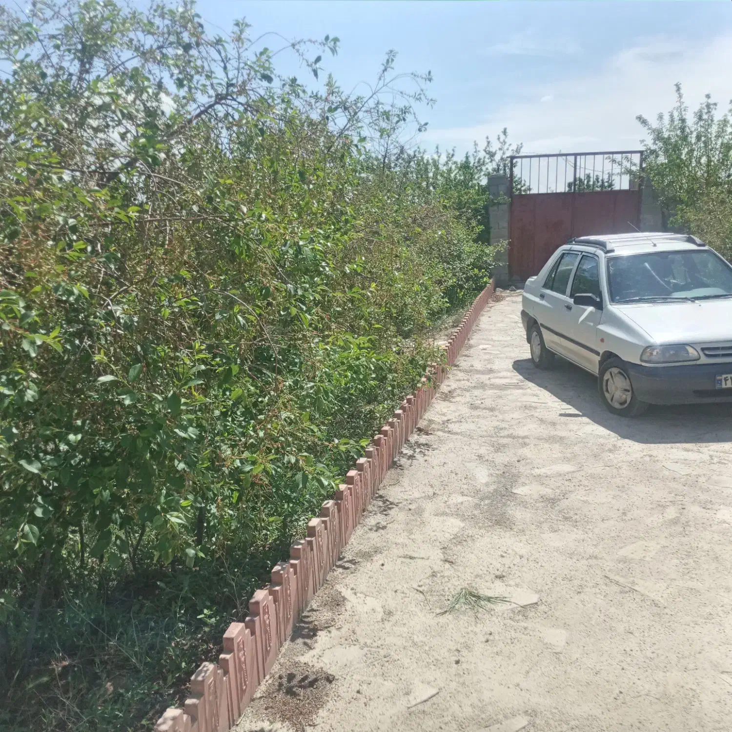 باغ در نعمت اله صوفیان بعد از خط راه اهن|فروش خانه و ویلا|صوفیان, |دیوار