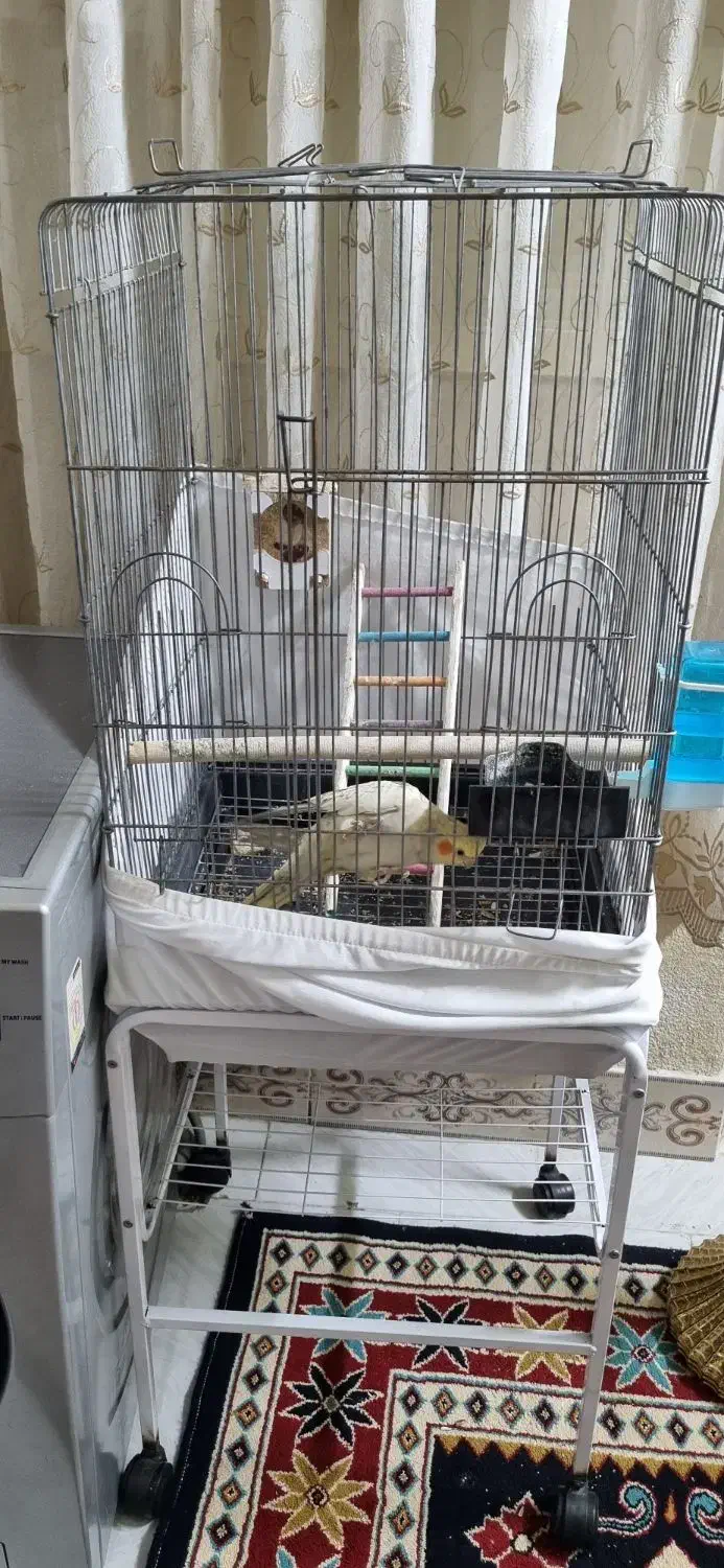 قفس پرنده با پایه|لوازم جانبی حیوانات|تهران, بیسیم|دیوار