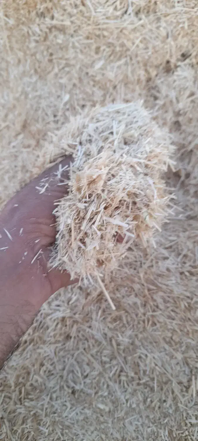 فروش کاه نخوددیم کوردستان|خدمات باغبانی و درختکاری|دالخانی, |دیوار