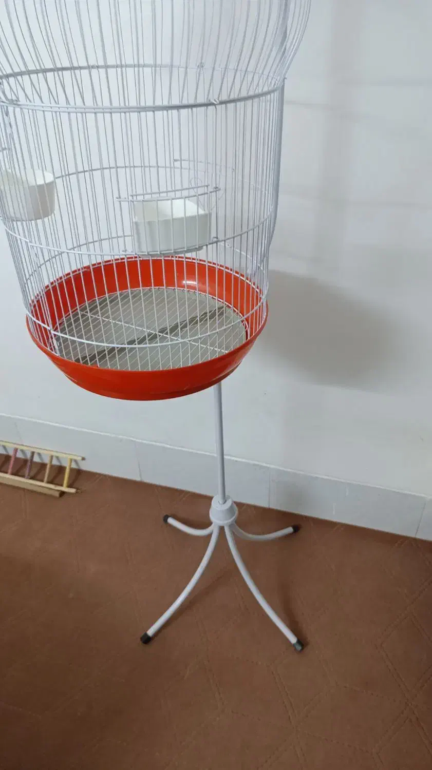 قفس و آویز برای طوطی|لوازم جانبی حیوانات|شاهرود, |دیوار