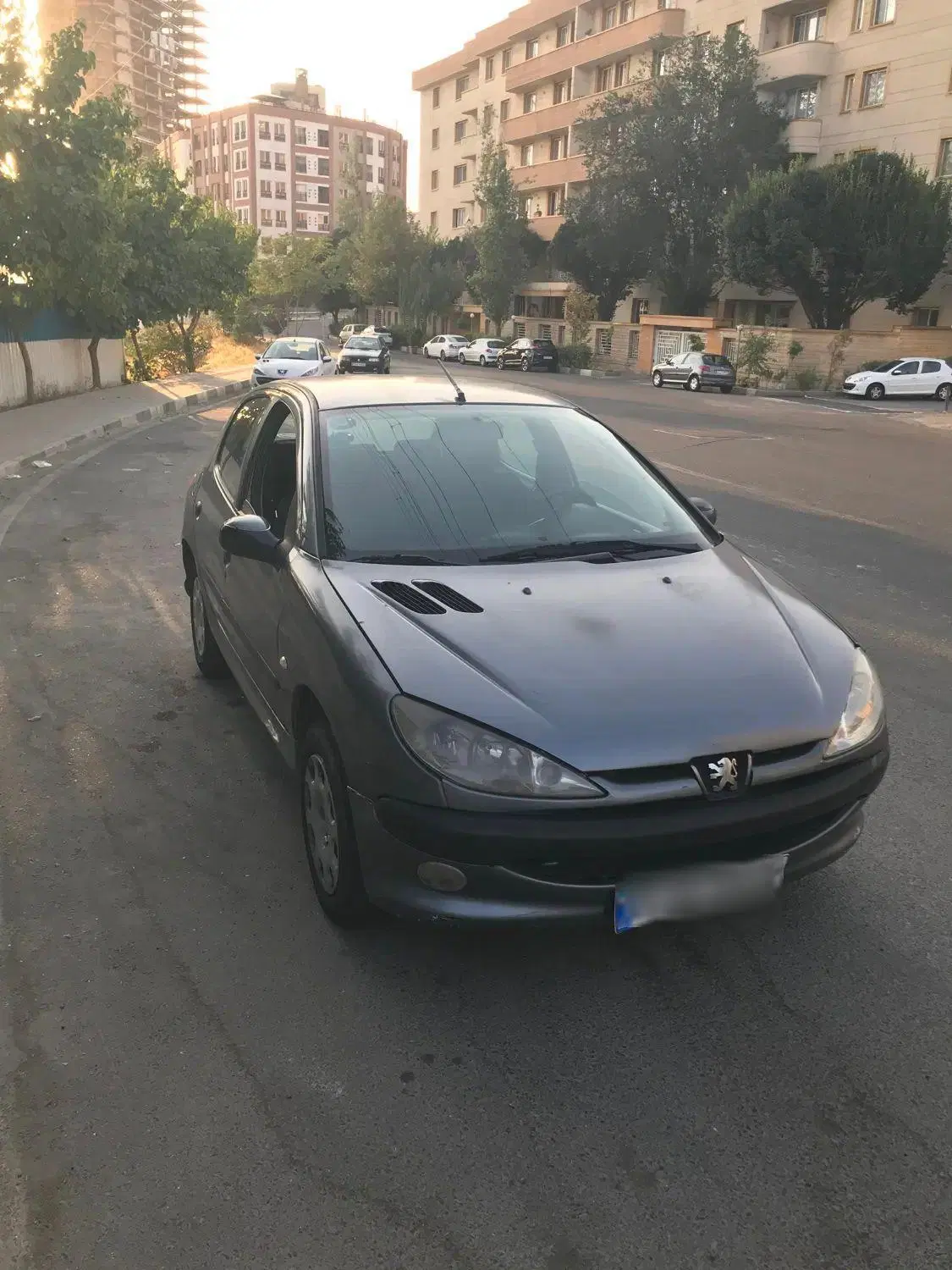 پژو ۲۰۶ مدل ۸۵|خودرو سواری و وانت|تهران, درختی|دیوار