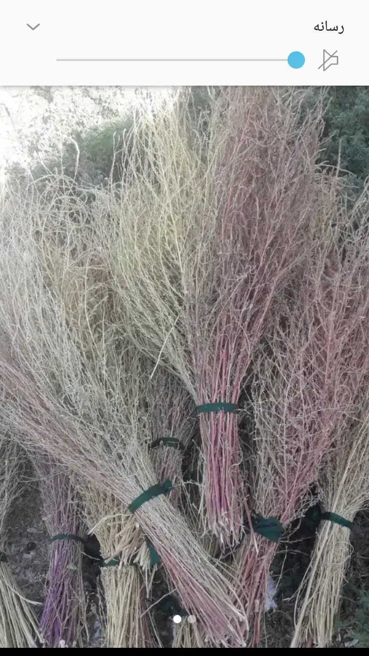 جارومحلی ورب خانگی|لوازم نظافت|کرمانشاه, |دیوار