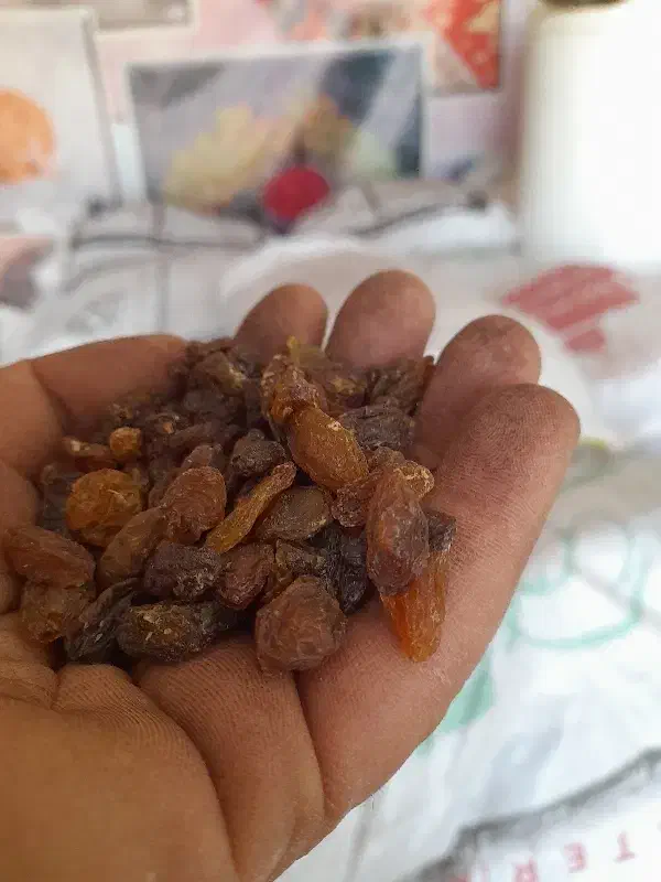 کشمش آفتابی خشک کاشمر گوشتی و درجه ۱ به شرط|خوردنی و آشامیدنی|نجف‌آباد, امیرآباد|دیوار