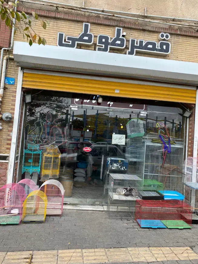 وسایل جانبی حیوانات|لوازم جانبی حیوانات|تبریز, |دیوار