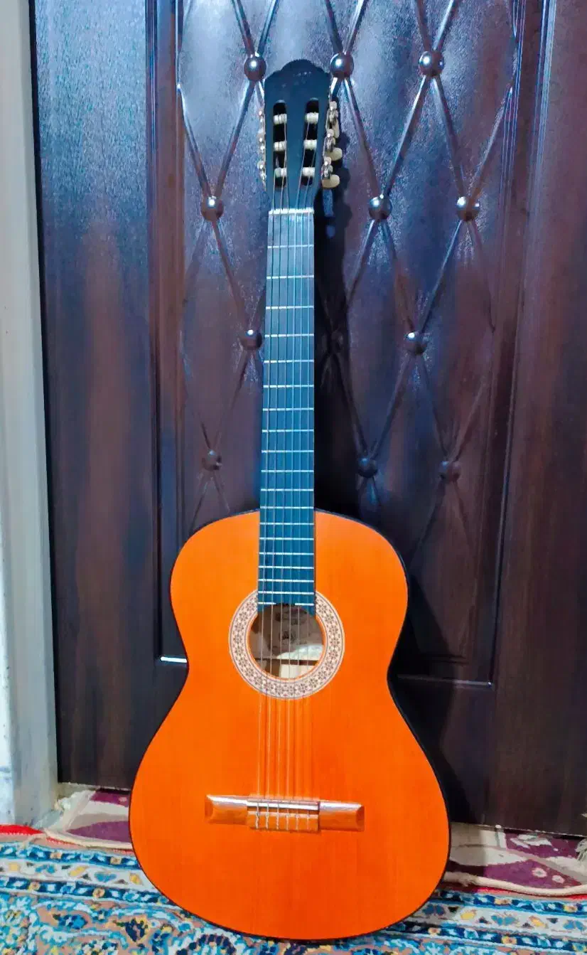 گیتار نو بدون خط و خش و استفاده نشده|گیتار، بیس، امپلیفایر|شیراز, سلطان آباد|دیوار