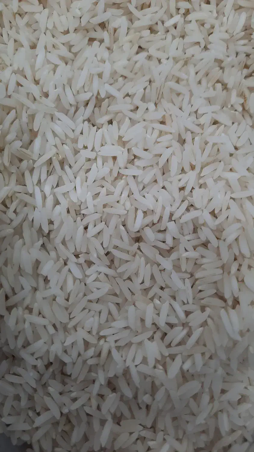 انواع برنج اعلا|خوردنی و آشامیدنی|رشت, پیرسرا|دیوار