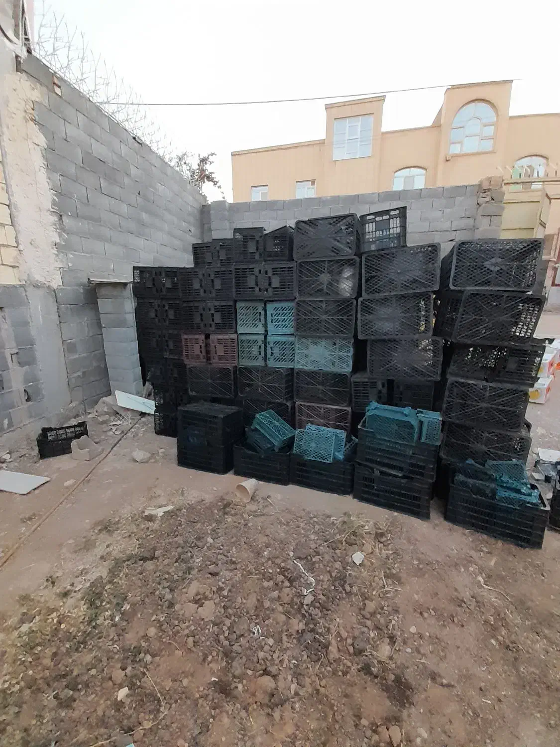 فروش سبد موز|ظروف نگهدارنده، پلاستیکی، یکبارمصرف|شهرضا, |دیوار