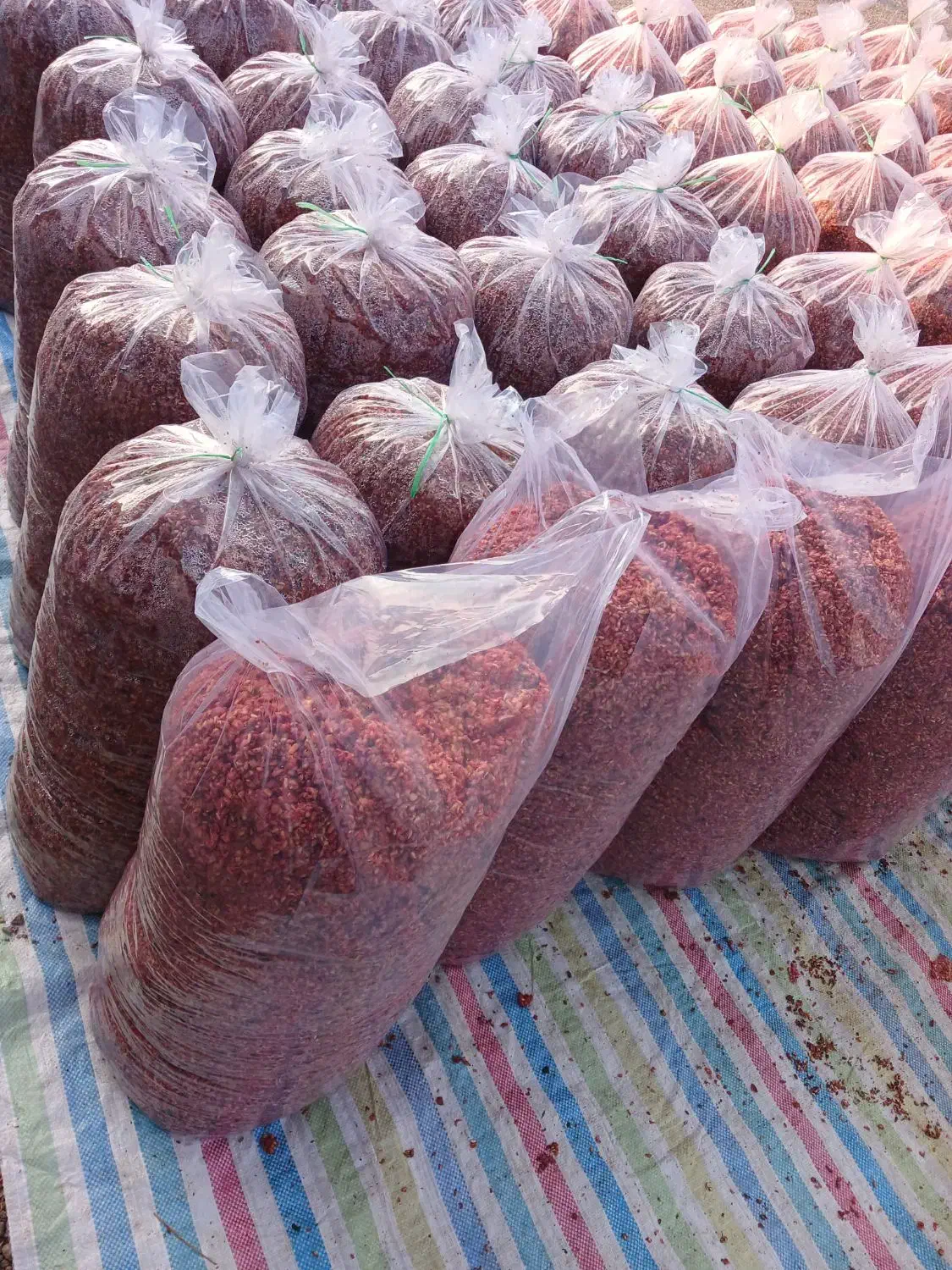 تفاله خرما وانار|لوازم جانبی حیوانات|خسروشاه, |دیوار