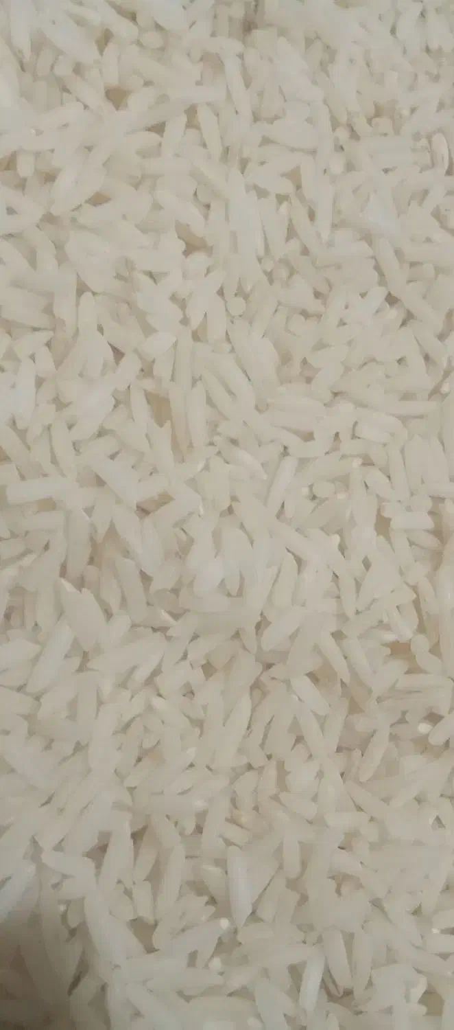 برنج دوم سیاه به شرط کیفیت|خوردنی و آشامیدنی|آزادشهر, |دیوار