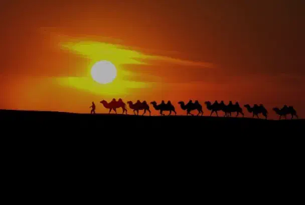 تور ۱/۵روزه کویر  مرنجاب ویژه دی ماه|تور و چارتر|تهران, شهرک پاسداران|دیوار