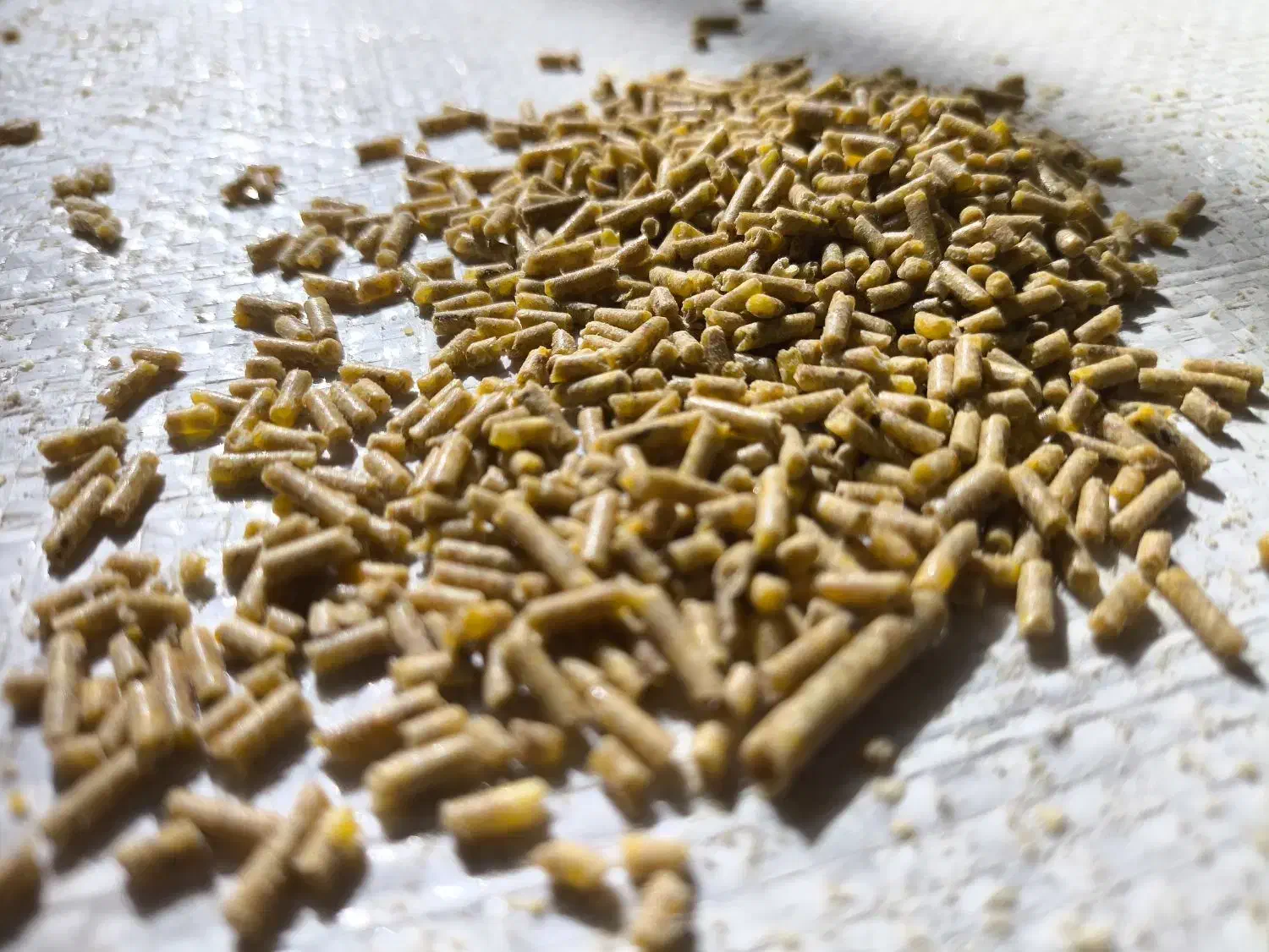 مشاوره پرورش و تولید دان بوقلمون بیوتی|حیوانات مزرعه|قم, زنبیل آباد|دیوار