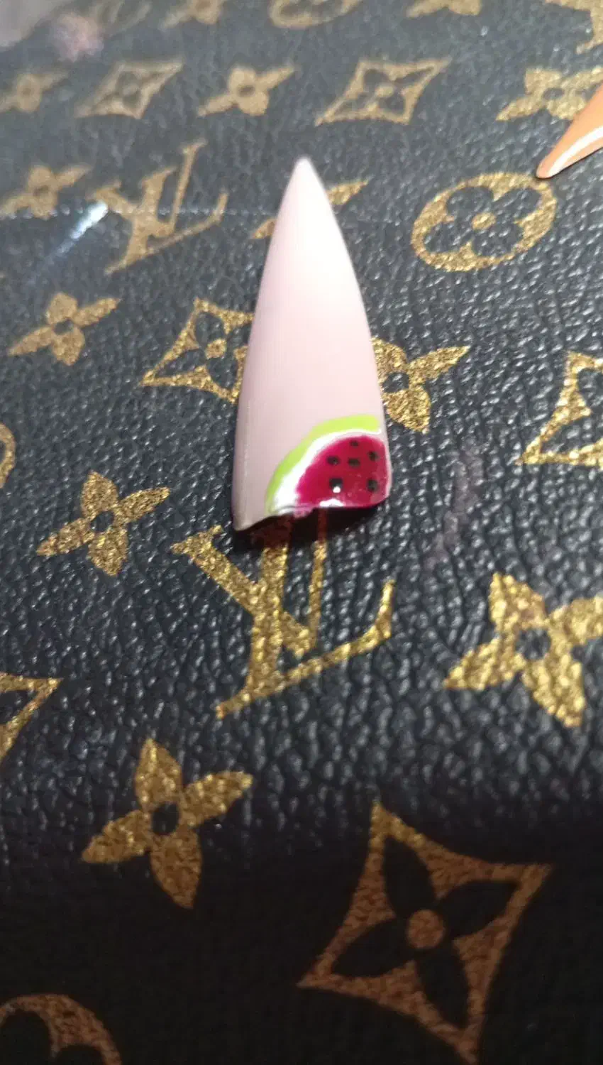 ک اش ت|آرایشی، بهداشتی، درمانی|تربت جام, حافظ|دیوار