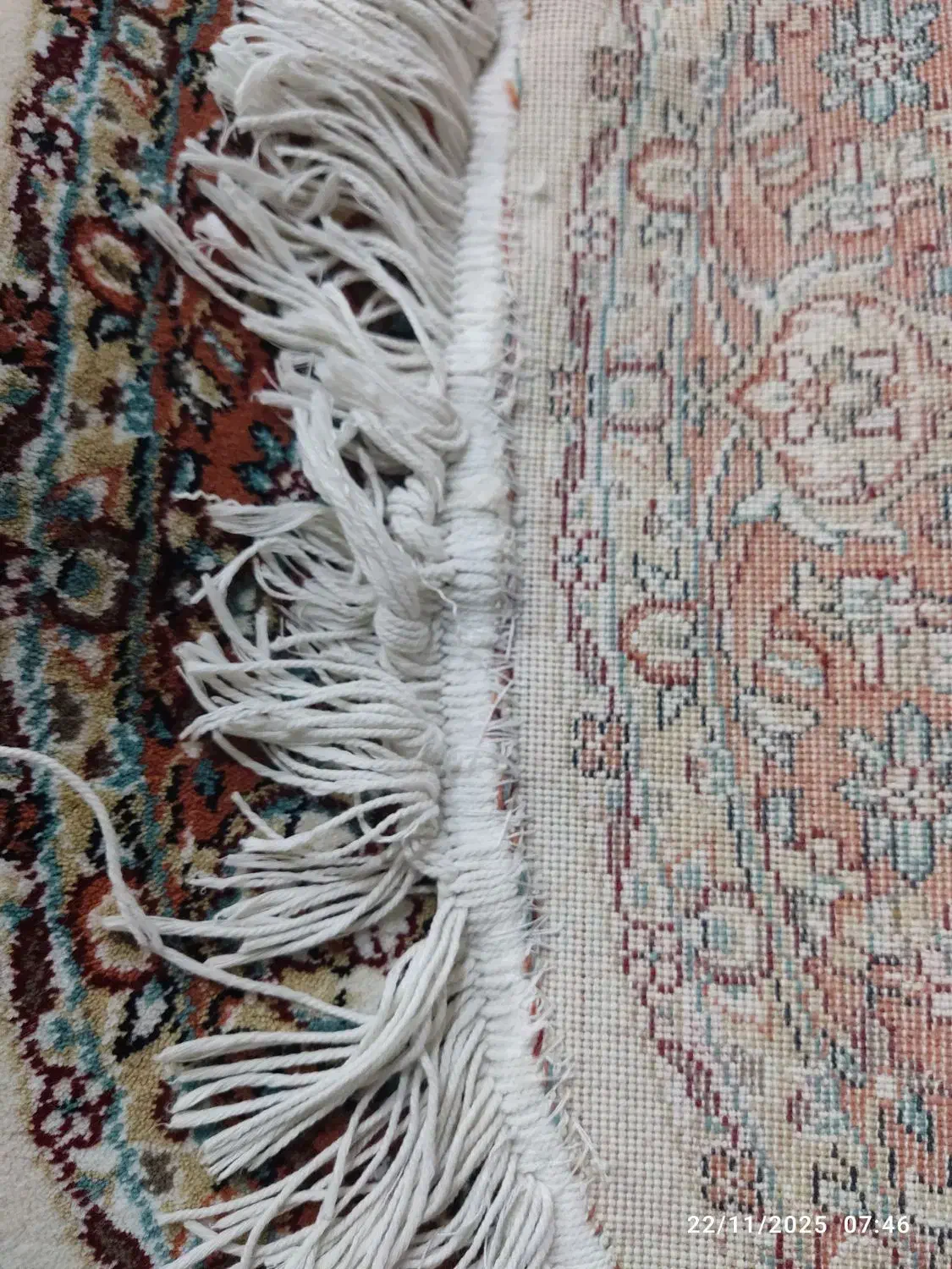 ریز ماهی گرد|پادری|کرج, عظیمیه|دیوار