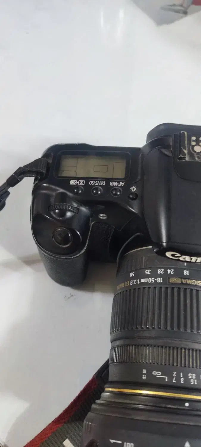 دوربین کنن 30d|دوربین عکاسی و فیلمبرداری|شیراز, باغ تخت|دیوار