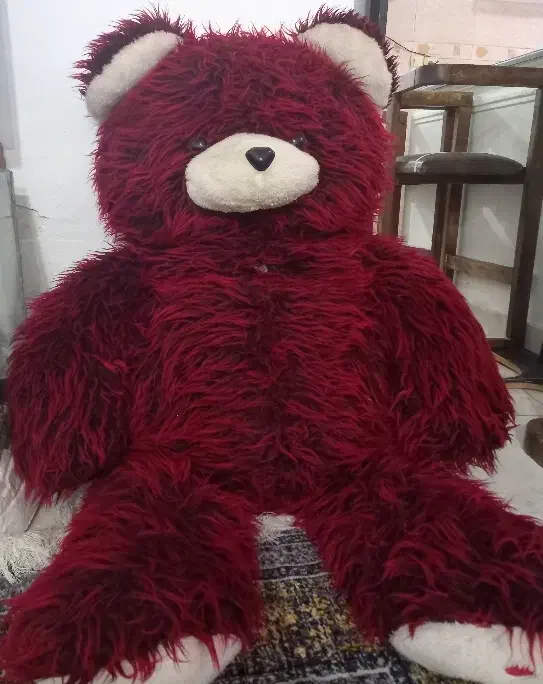 خرس بزرگ|اسباب‌‌بازی|رشت, حمیدیان|دیوار