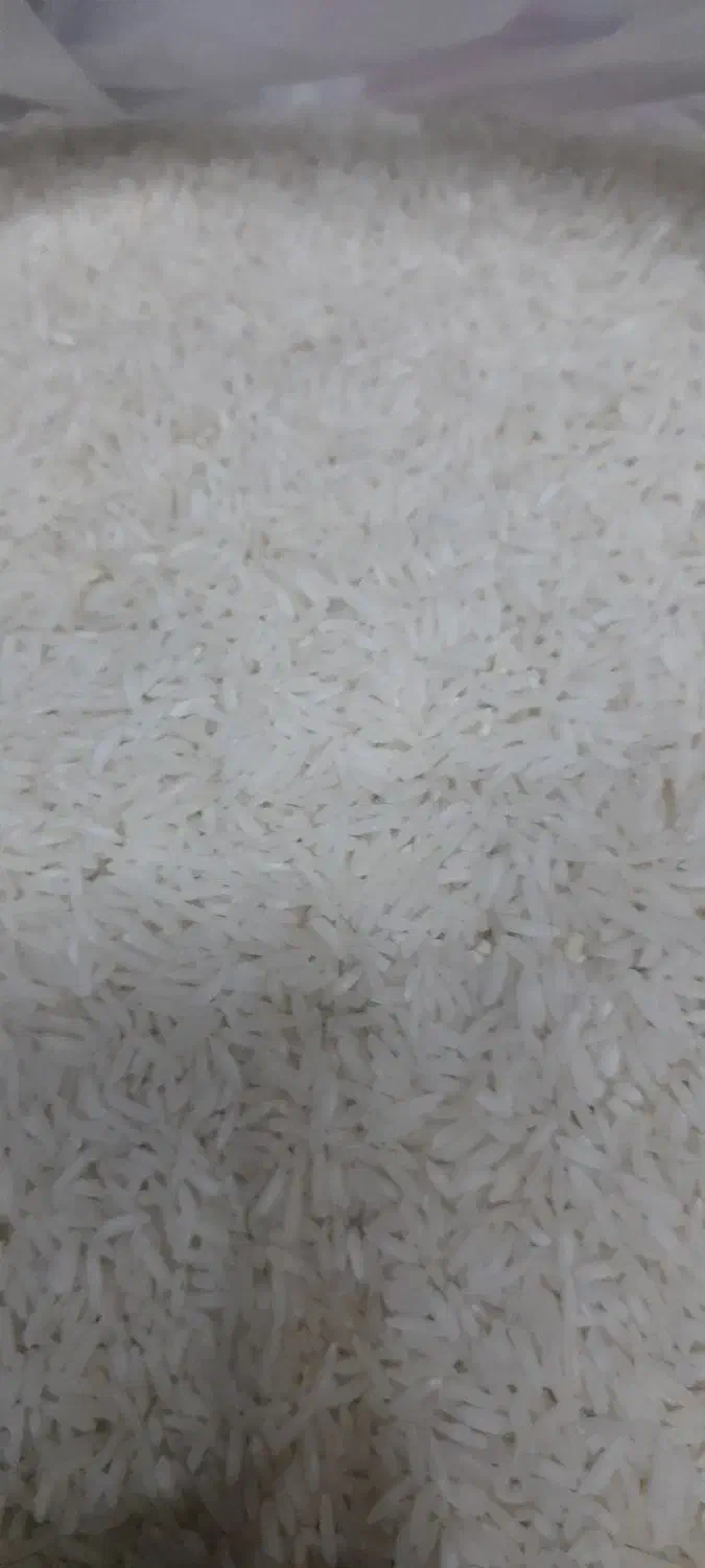 برنج ایرانی|خوردنی و آشامیدنی|کاشان, پشت شهربانی|دیوار