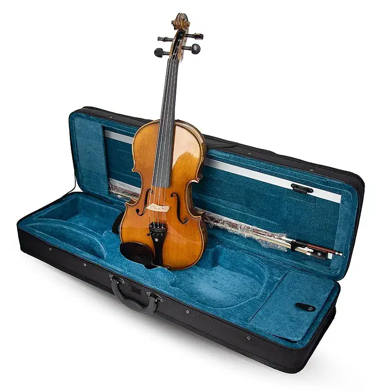 ویولن Pervil Z-500 4/4|ویولن|قزوین, |دیوار