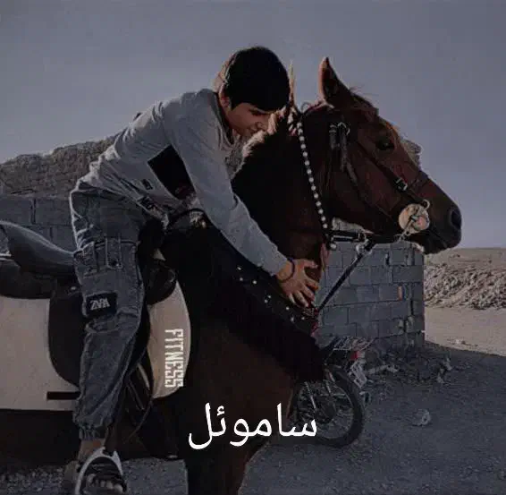 اسب عرب|اسب و تجهیزات اسبسواری|عقدا, |دیوار