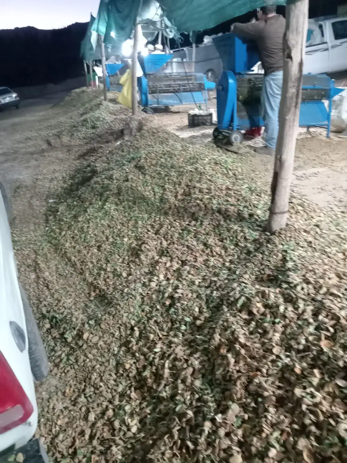 فروش استثناعی پوسته بادام. میش  بره  قوچ  بز  گله|حیوانات مزرعه|نجف‌آباد, حومه نجف آباد|دیوار