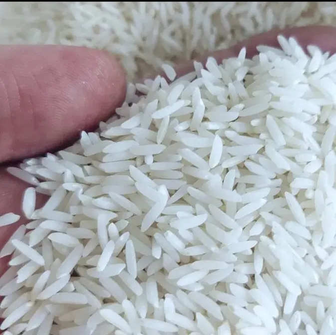 طارم هاشمی فوق العاده|خوردنی و آشامیدنی|تهران, دبستان|دیوار