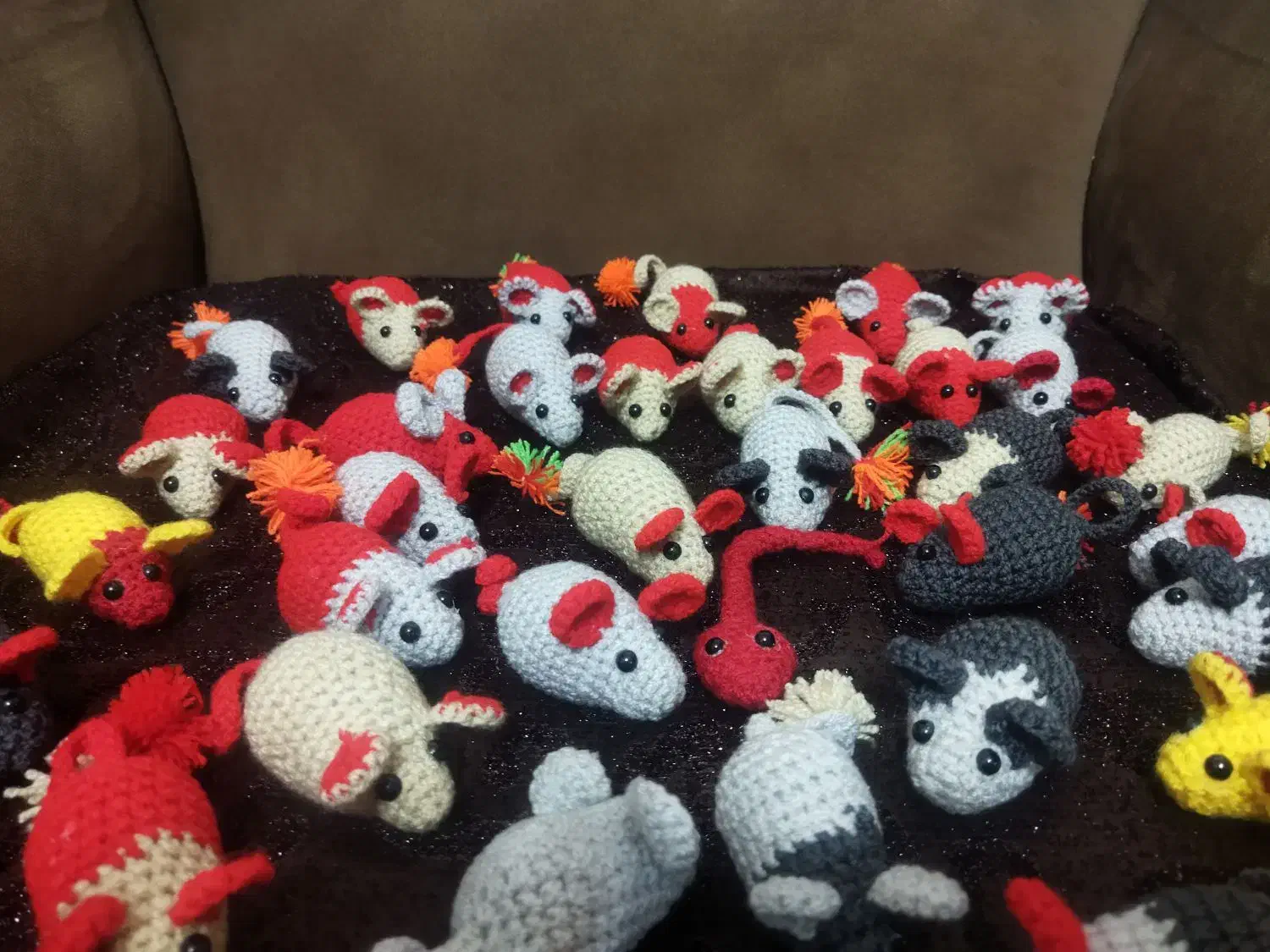 موش|لوازم جانبی حیوانات|لاهیجان, انقلاب|دیوار