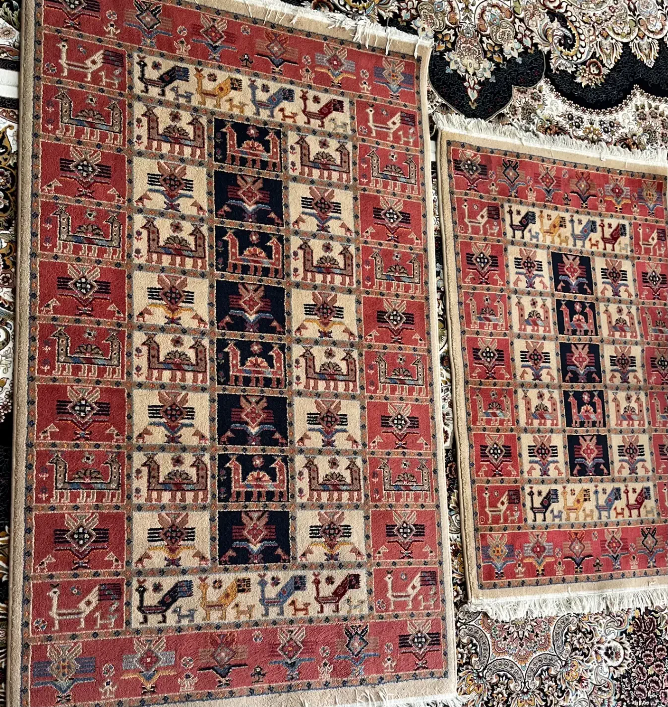 فرش دو عدد|فرش|نیشابور, شهرک بسیج|دیوار