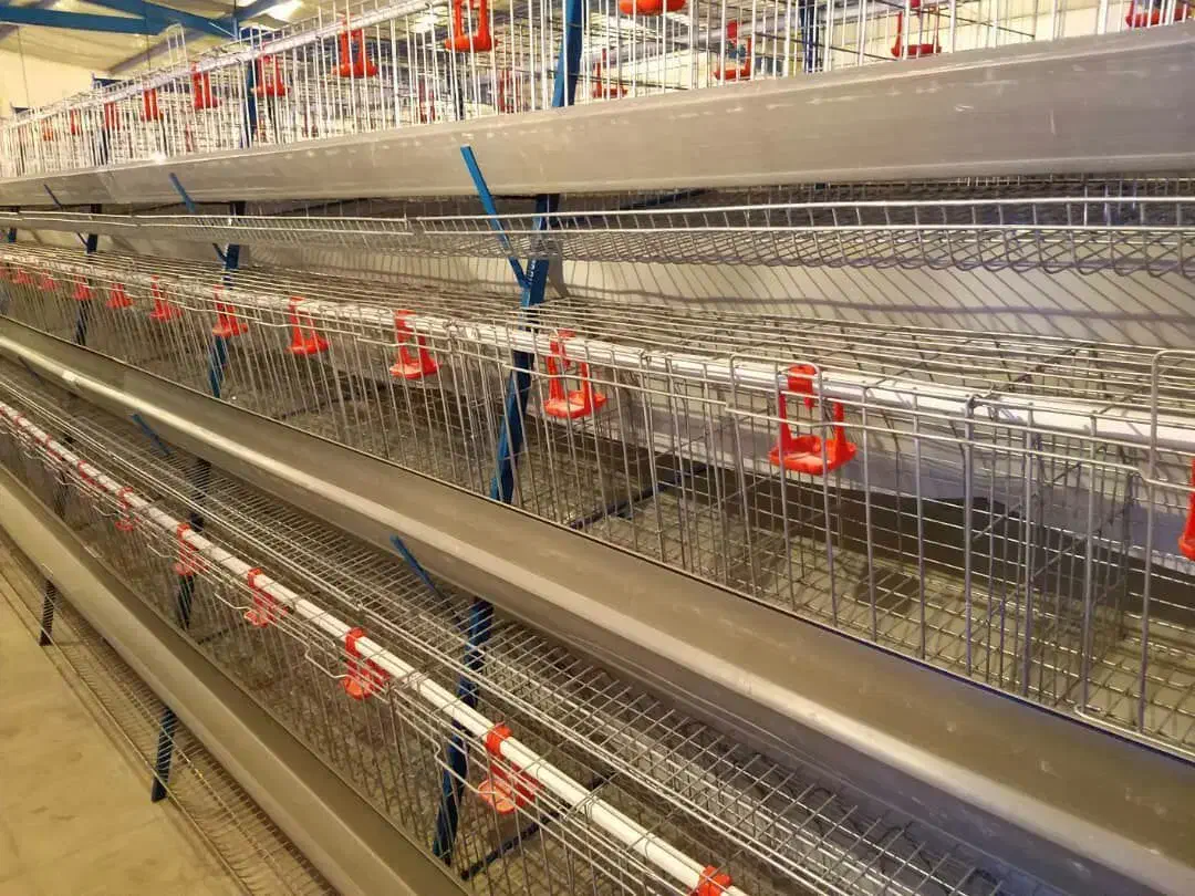 نصاب و تجهیز سالن پرورش مرغ ، بوقلمون|ماشینآلات صنعتی|بیرجند, |دیوار