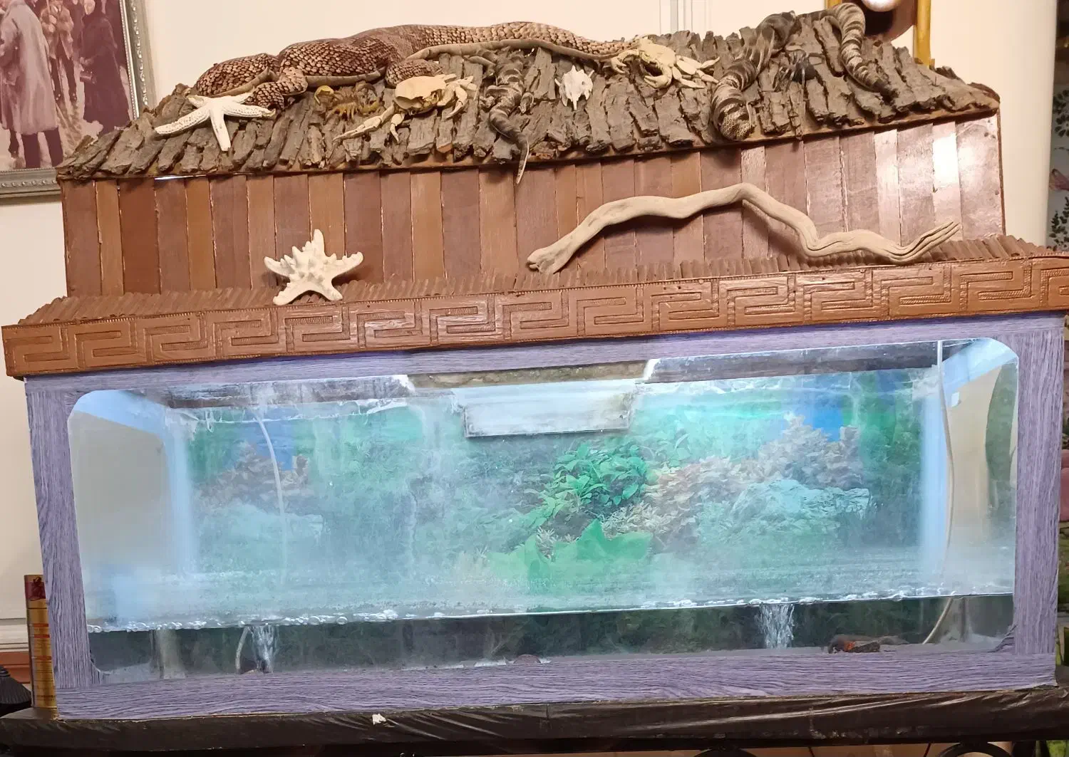 آکواریوم|ماهی|شاهینشهر, نظامی|دیوار