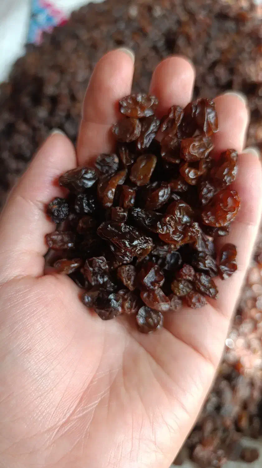 کشمش سیاه بی دونه|خوردنی و آشامیدنی|قم, فرهنگیان و شهربانی|دیوار