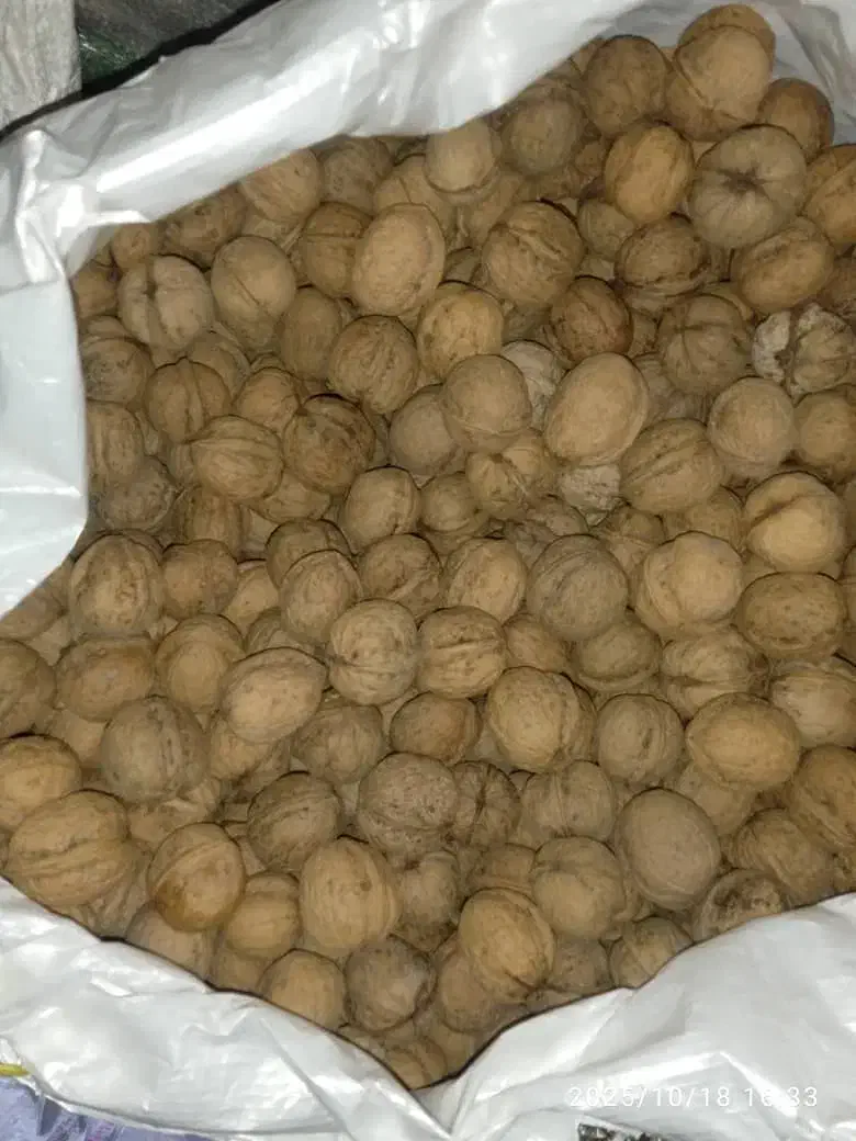 گردو کردستان|خوردنی و آشامیدنی|قدس, شهر‌قدس|دیوار