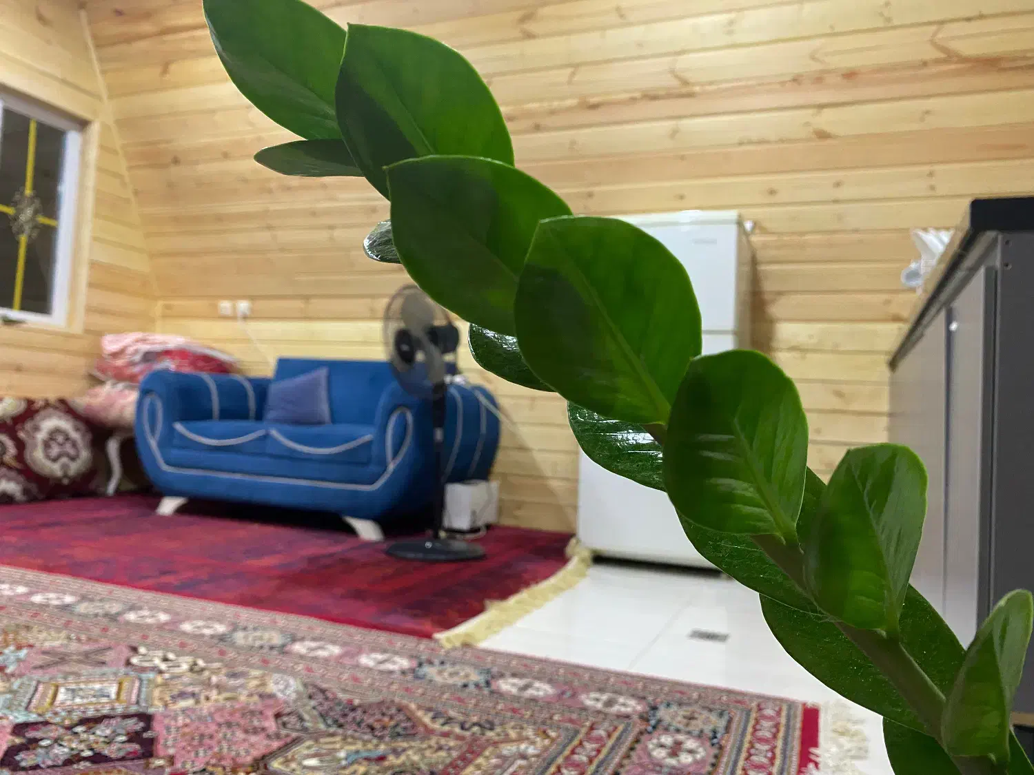 اجاره کلبه سوییسی جنگلی|اجارهٔ کوتاه‌مدت ویلا و باغ|شاندرمن, |دیوار