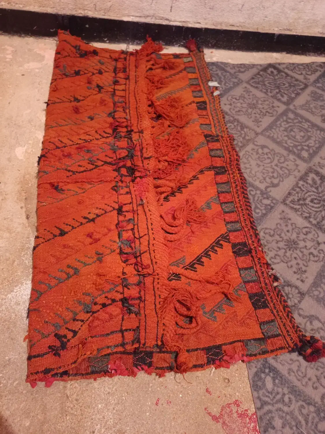 جول اسب|فرش|ایذه, |دیوار