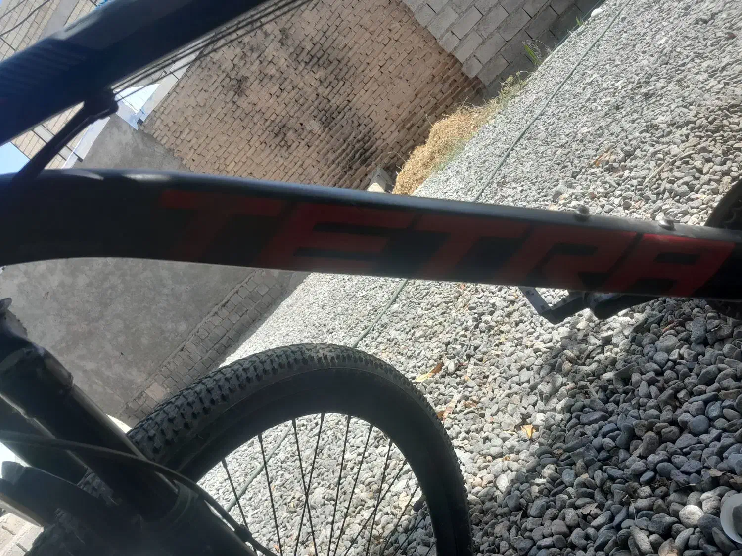 دوچرخه|دوچرخه، اسکیت، اسکوتر|جیرفت, |دیوار