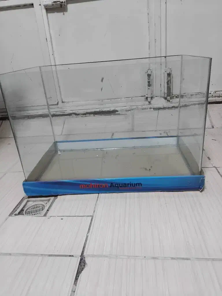 فروش شیشه اکواریوم|ماهی|سقز, |دیوار