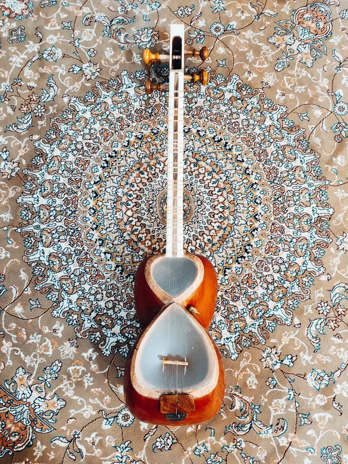 تار شش تار کاملا سالم معاوضه با دوتار شمال خراسان|سازهای سنتی|مشهد, رستگار|دیوار