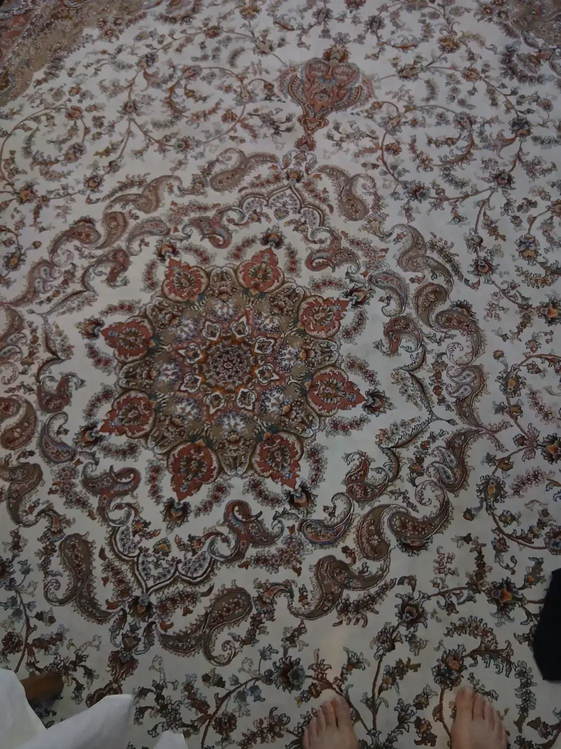 فرش|فرش|پردیس, فاز ۳|دیوار