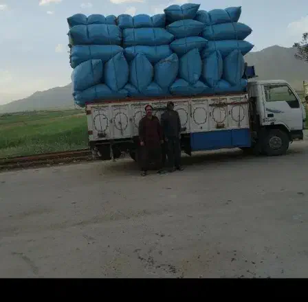 کاه گندم|لوازم جانبی حیوانات|مشگین شهر, |دیوار