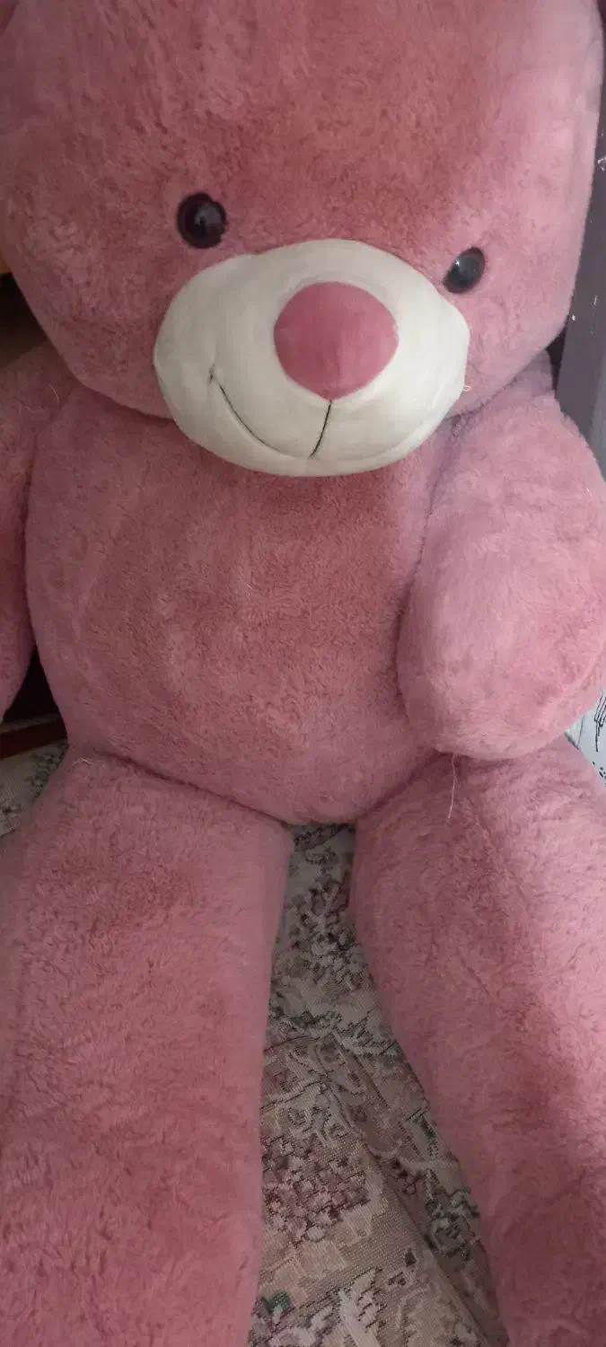 درحد نو|اسباب‌‌بازی|نورآباد, |دیوار