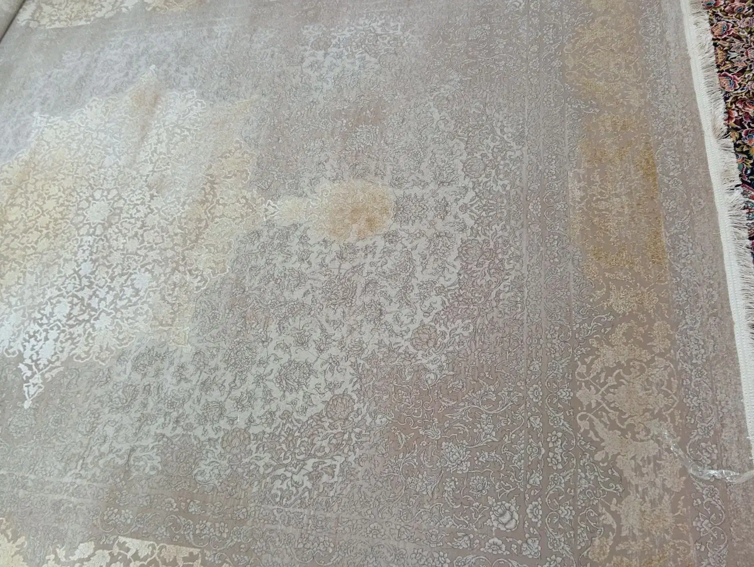 فرش|فرش|طبس, |دیوار