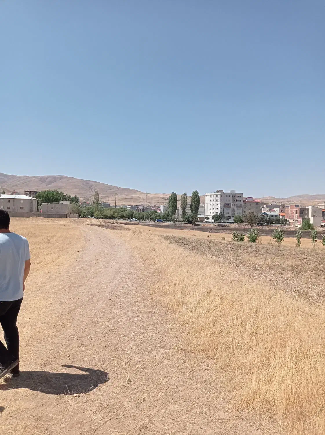 یک قطعه زمین زراعی|فروش دفتر صنعتی، کشاورزی، تجاری|خلخال, |دیوار