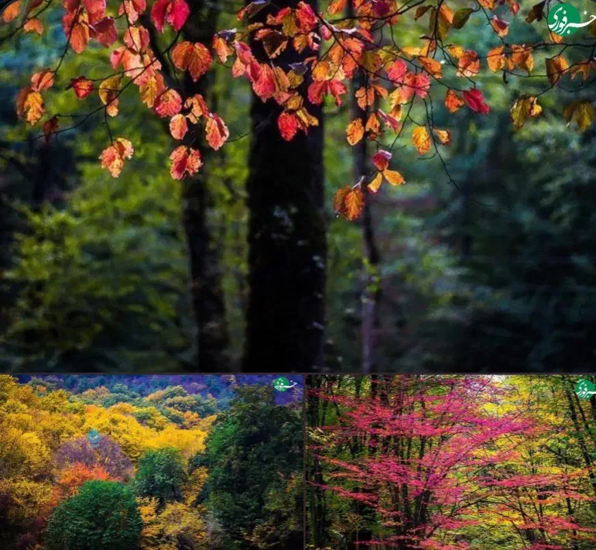 طبیعت گردی|تور و چارتر|قزوین, |دیوار