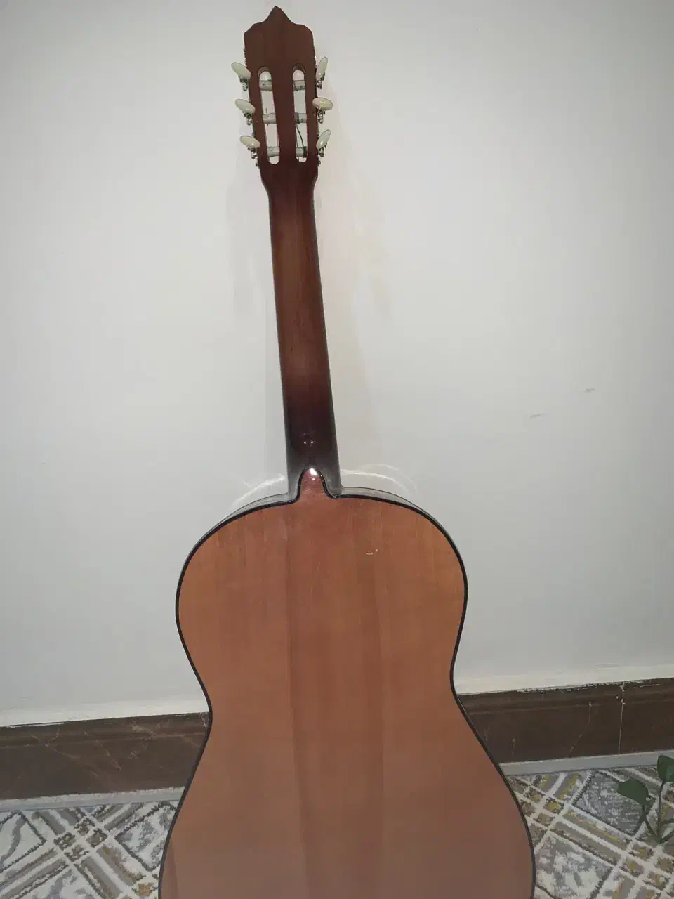 گیتار رویال 110 در حد نو|گیتار، بیس، امپلیفایر|زابل, |دیوار