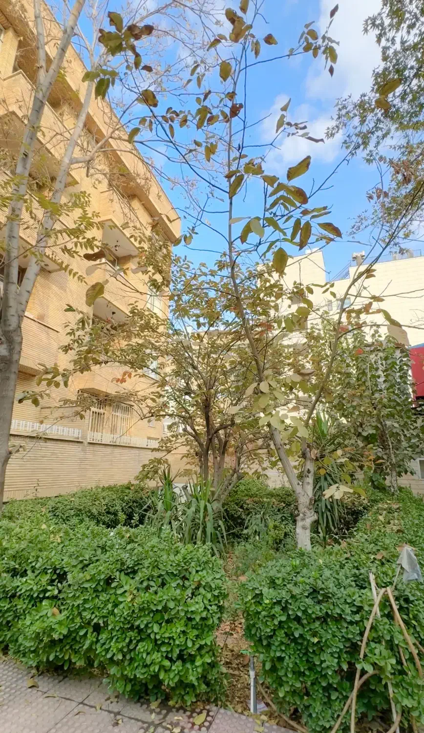 ۱۰۰ متر ۲ خوابه ابتدای قائم مقام|اجارهٔ آپارتمان|تهران, ایرانشهر|دیوار