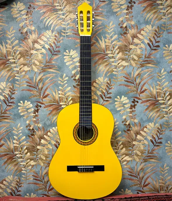 گیتار نو فروش فوری|گیتار، بیس، امپلیفایر|مشهد, کوثر|دیوار