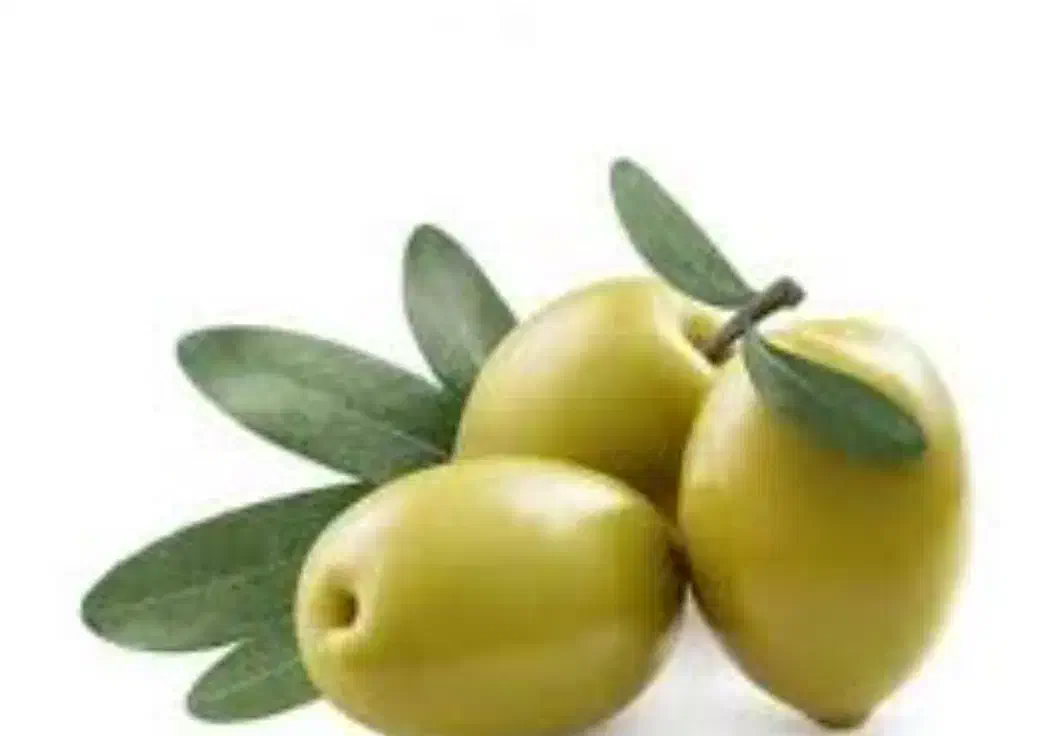 راهنمایی خرید روغن زیتون|فعالیت داوطلبانه|شیراز, گلدشت معالی‌آباد|دیوار