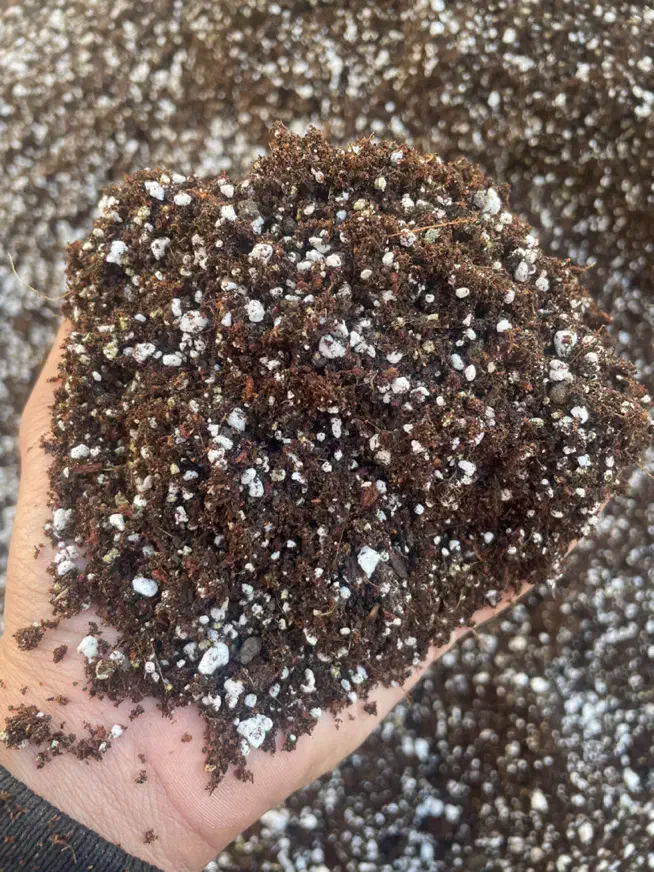 بستر کشت حرفهای گیاهان آپارتمانی و صیفیجات|گل و گیاه طبیعی|تربتحیدریه, بهشت عسکری|دیوار