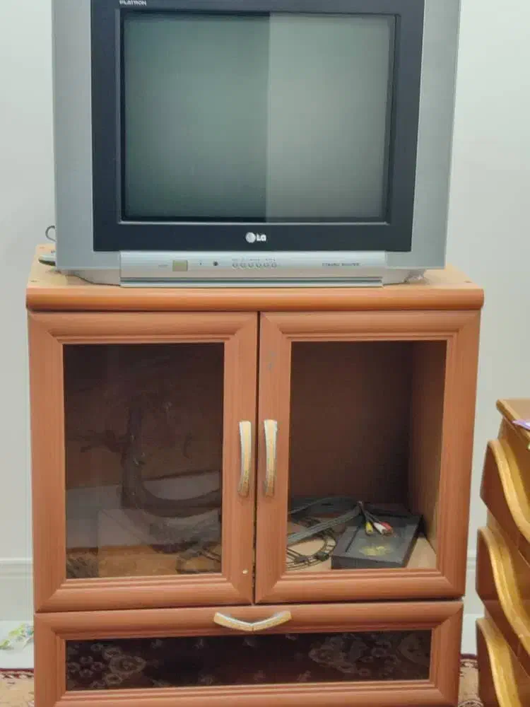 تلویزیون و میز|تلویزیون و پروژکتور|بوشهر, |دیوار