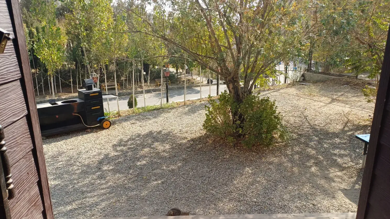 بهیکنفراقاجهتکافهبیلیاردنیازمندیم|استخدام خدمات فروشگاه و رستوران|تهران, ولنجک|دیوار