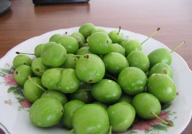 گوجه سبز|عمده‌فروشی|بیرجند, |دیوار